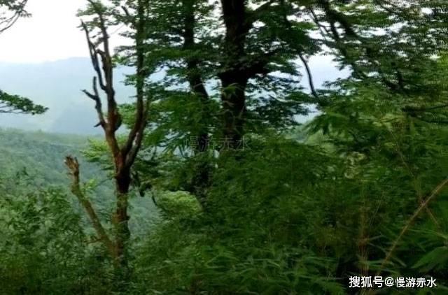 北青：中国裁判组大概率在亚洲杯淘汰赛被留用，但面临严峻考验