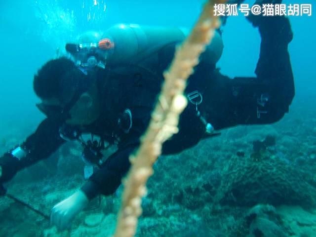 滨州艺术生文化课补习的学费交的多不多?