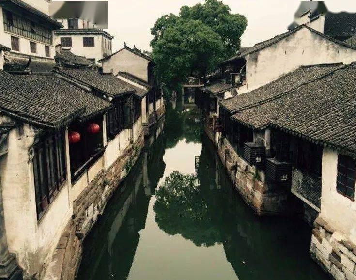 70岁钟发翻拍《僵尸叔叔》，擦边卖肉制作粗糙，票房仅99万